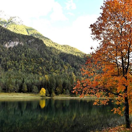 Ferienwohnung Saalbach Fieberbrunn Exteriér fotografie